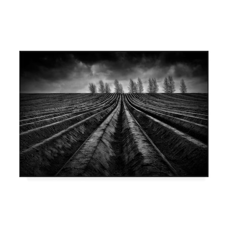 Marc Apers 'Flanders Fields Iii' Canvas Art,16x24